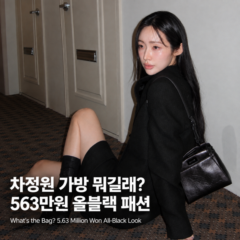 차정원 가방 뭐길래? 펜디 마이피카부 XS 손연재도 들었다는 563만원 올블랙 패션