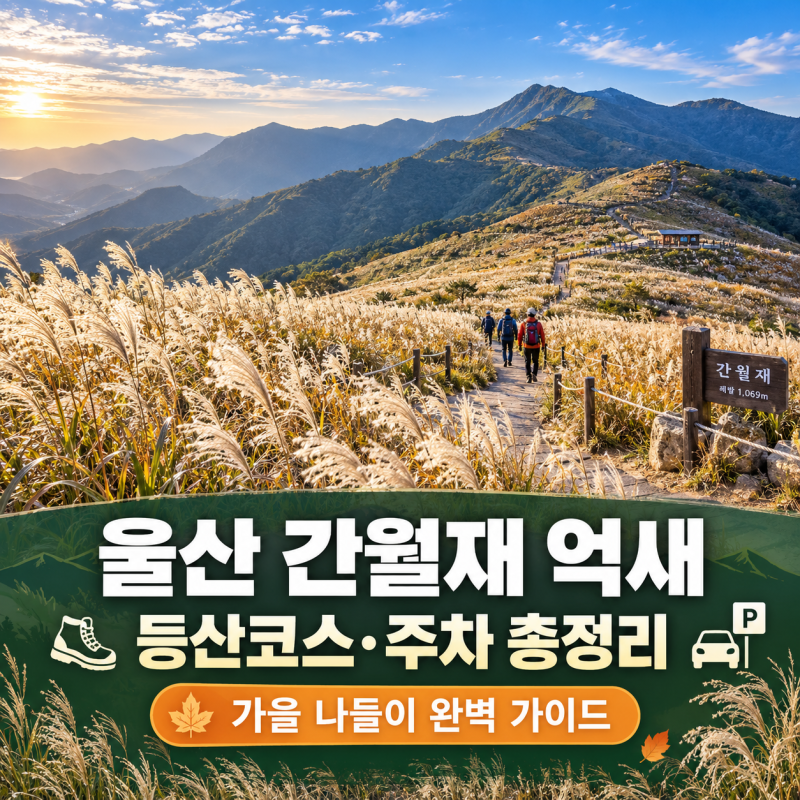 울산 간월재 억새 등산코스 주차 총정리 (가을 나들이 완벽 가이드)