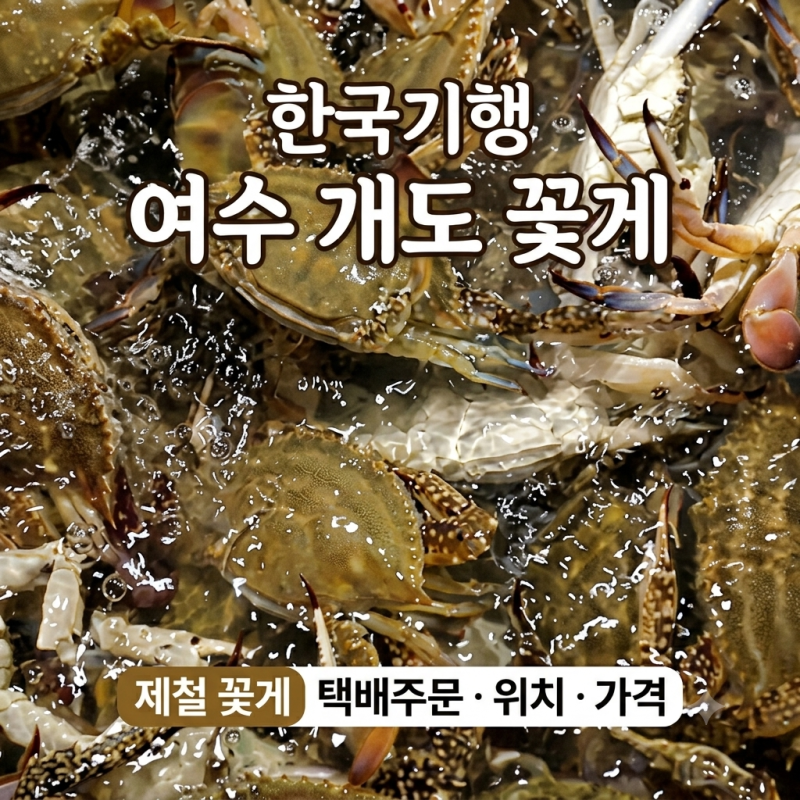 한국기행 여수 개도 꽃게 어디? 제철 꽃게 택배주문·위치·가격