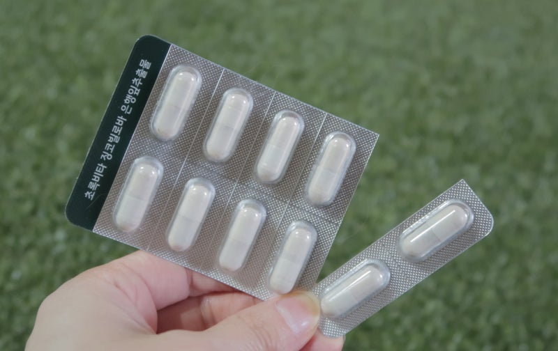 징코빌로바 초록비타 은행잎추출물 영양제