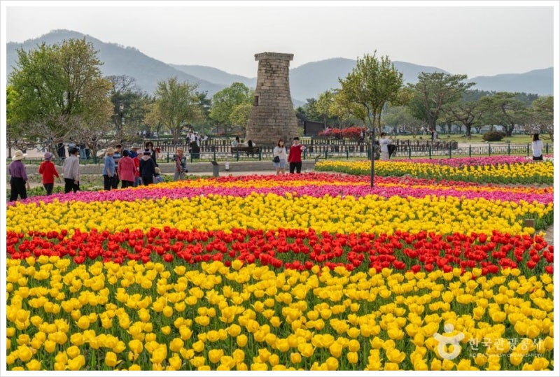 가을 단풍 따라 떠나는 10월 경주여행 1박2일 코스