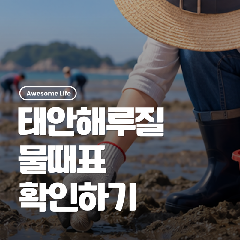 태안 물때표 확인하기, 오늘 간조 만조시간 보는법