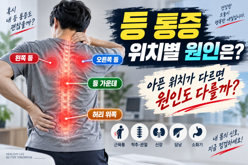 등 통증 위치별 원인은? 왼쪽·오른쪽 아픈 부위로 알아보기
