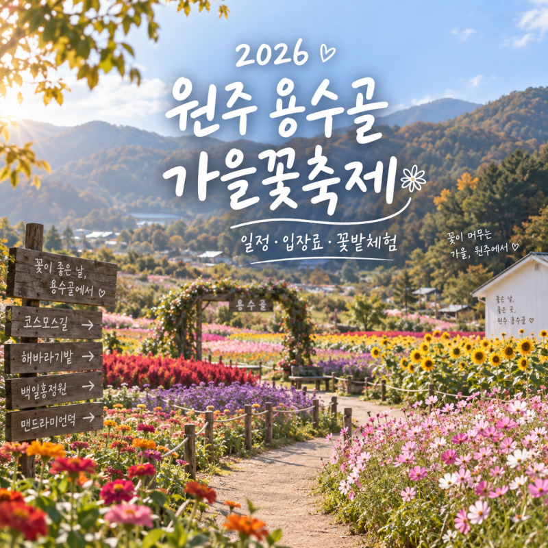 강원도 가볼만한곳 2026 원주 용수골 가을꽃축제 일정 입장료 꽃밭