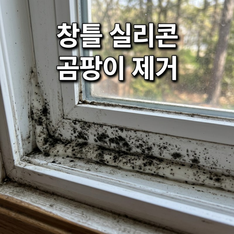 문질러도 안 지워지는 창틀 실리콘 곰팡이? 스티커 제거제+락스 3단계로 끝내는 법