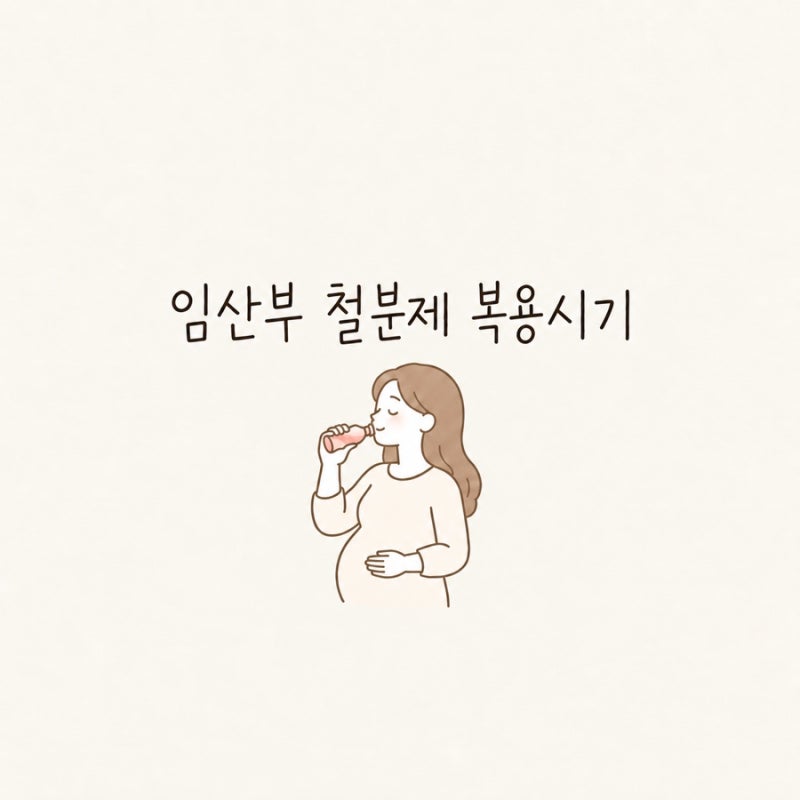 임산부 철분제 복용시기｜액상 철분제 먹는 시간과 어지럼증 후기