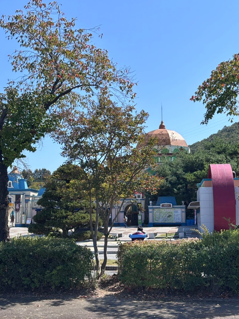 평일 체험학습 쓰고 다녀온 대전 오월드 당일치기 솔직 후기 (사파리 알차게 즐기기)