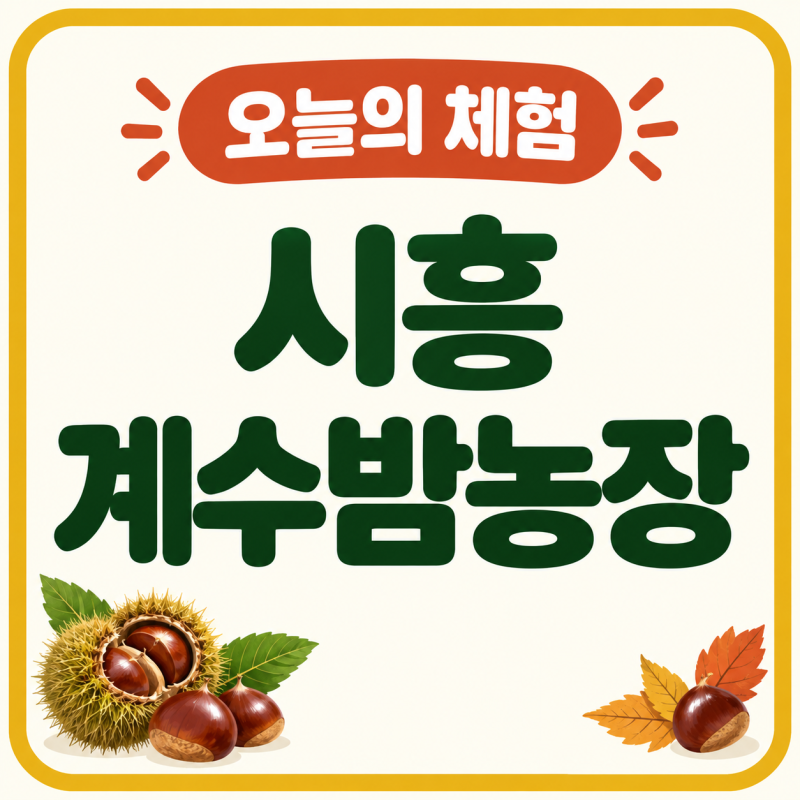 [오늘의 장소] 2026 시흥 계수밤농장｜밤줍기 체험예약·주차·가격·준비물 총정리