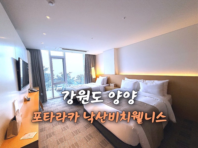 강원도 양양 숙소 포타라카 낙산비치웰니스 호텔 (구)낙산비치호텔