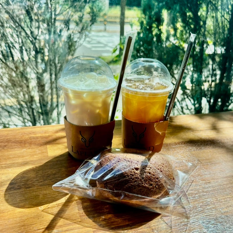 [Lapland Wonheung Branch - LAPLAND Coffee] Goyang City Attractions: Bakery/Dessert Cafe☕️