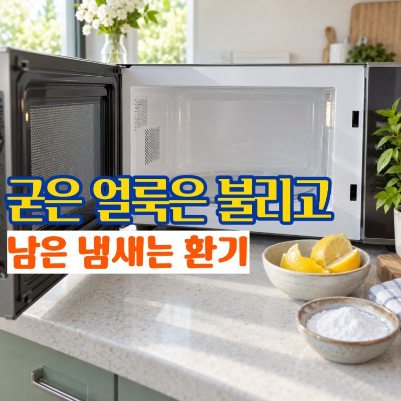 전자레인지청소 음식 냄새 남았을때 전자레인지냄새제거 방법