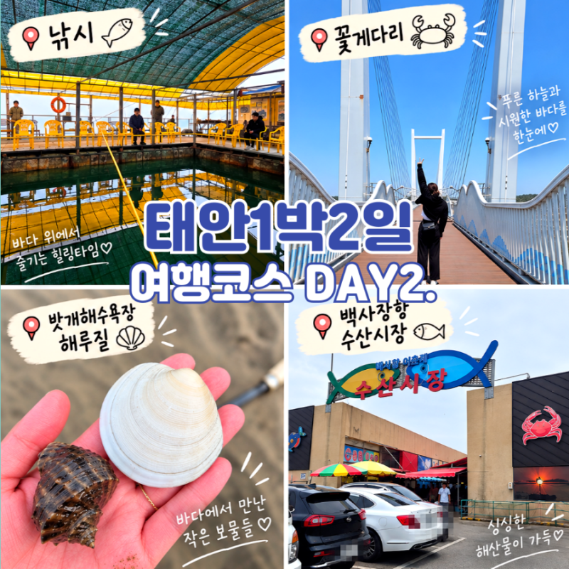 Recommended 1 Night 2 Day Taean Travel Itinerary: Places to Visit (Myeongseong Jwadae Fishing, Ggotgedari Bridge, Baeksajang Port Fish Market)