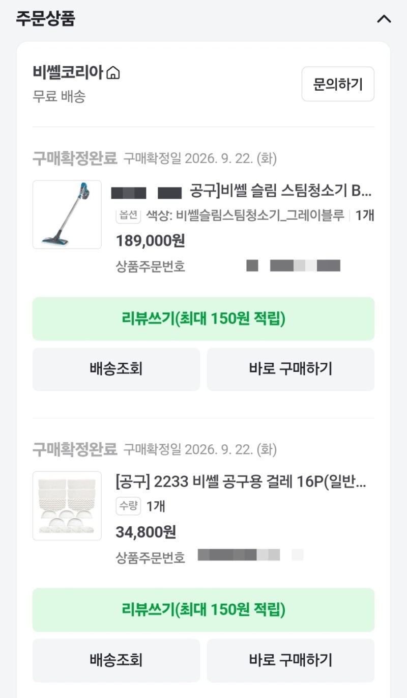 [내돈내산] 비쎌스팀청소기