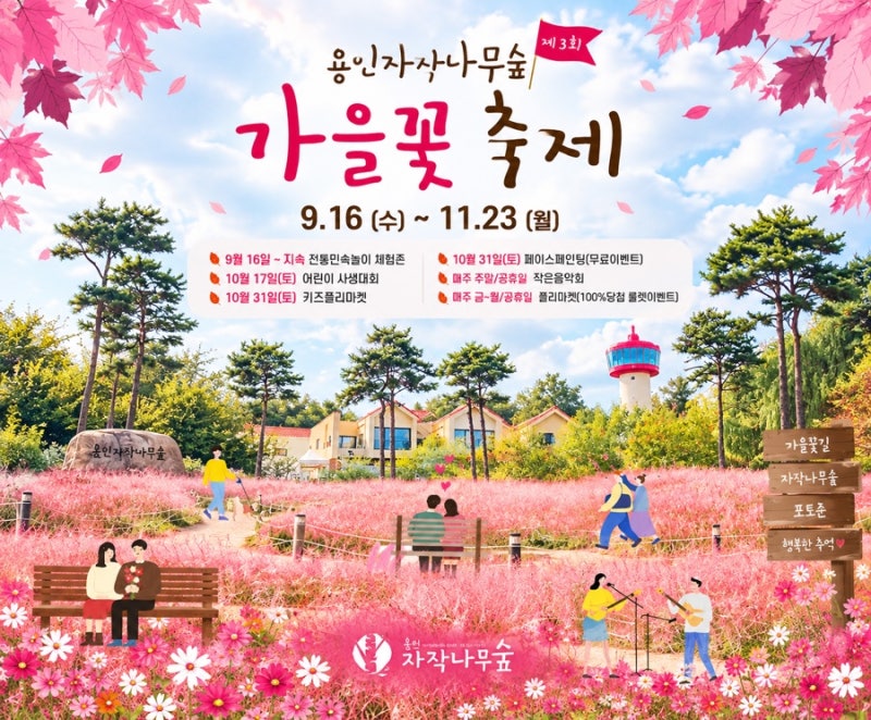 2026 용인자작나무숲 가을꽃축제, 자작나무 사이 핑크뮬리 물결