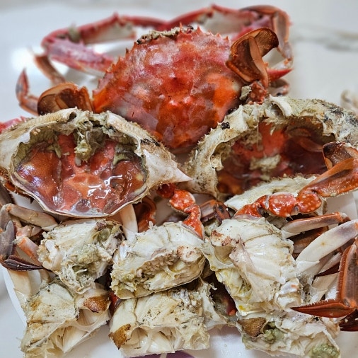가락시장 꽃게 시세, 9월 제철 숫꽃게 1kg 포장해서 먹어본 후기