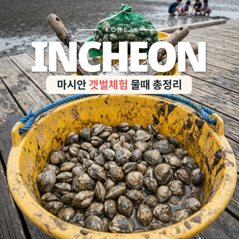 인천 영종도 마시안 갯벌체험 9월 10월 물때 준비물 주차 총정리