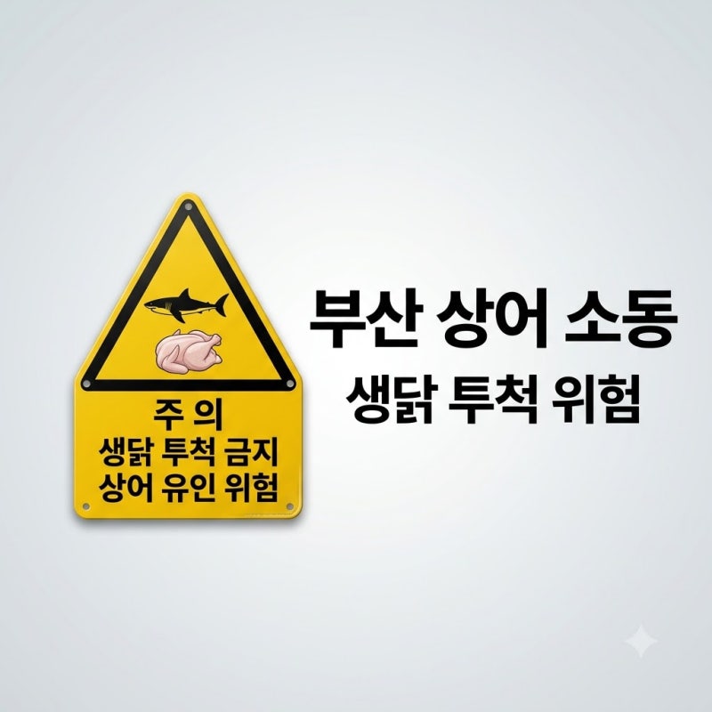 부산 상어 생닭 투척 소동! 북항 무태상어 출몰 현장과 안전 수칙