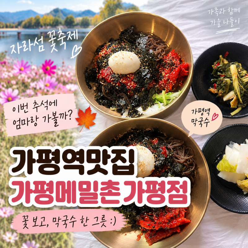 가평역맛집 가평메밀촌 가평점, 자라섬 꽃축제 가는 날 막국수 한 그릇