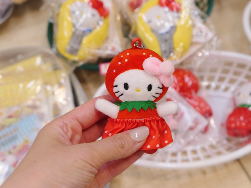Jeju Airport Nearby Souvenir Shop: Local Food, Some Jeju, Kitty Tangerine T-shirt, Jeju Island Souvenir Recommendation