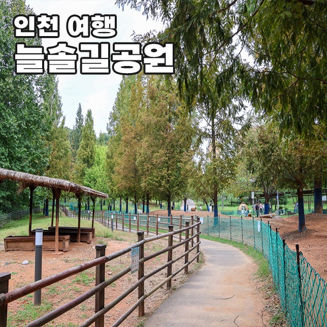 수도권 근교 아이랑 나들이 장소 인천 늘솔길공원 양떼목장텐트 입장료 무료