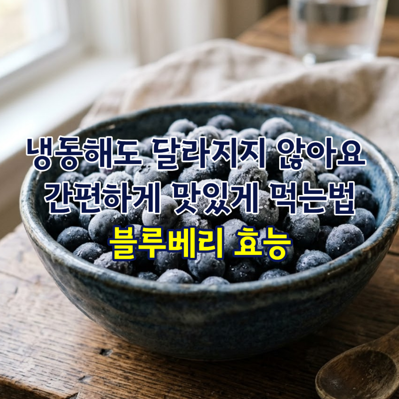 블루베리 효능 냉동해도 달라지지 않아요 간편하게 맛있게 먹는법
