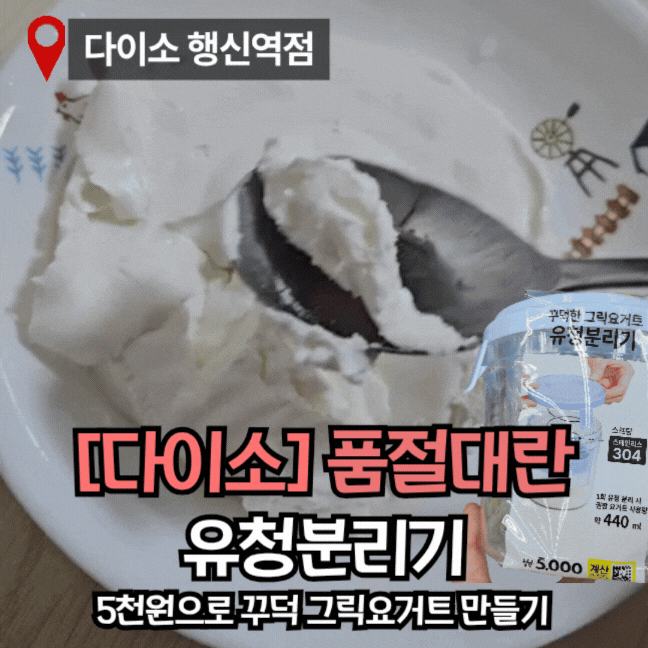 다이소 유청분리기 스프링 신상 꾸덕 그릭요거트 후기