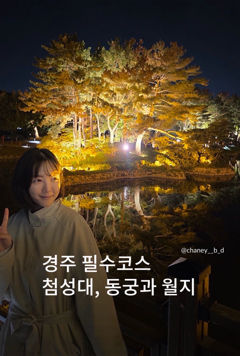 [경주여행_5] 필수코스 동궁과 월지 야경 후기｜첨성대 주차장·공영주차장 꿀팁 + 비단벌레....