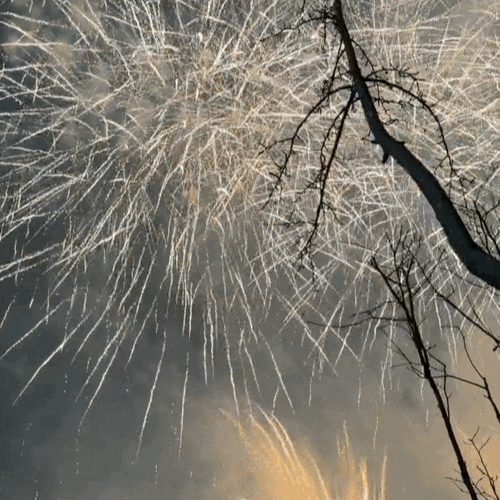 2026 Daejeon Fireworks Display, Daejeon Fireworks Festival Schedule! Daejeon Expo & Hanbat Arboretum [2026 Delight Expo Bridge]