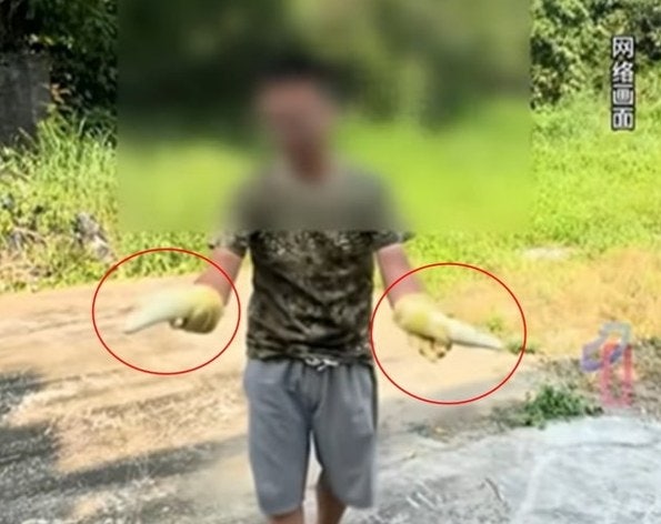 밤새 유황 훈증으로 뽀얗게 만든 그 죽순, 우리 밥상엔 이미 들어와 있었다?