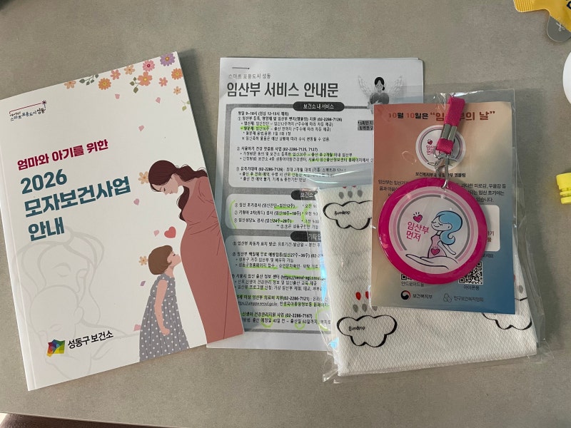 성동구 보건소 임산부 등록&산전검사 후기