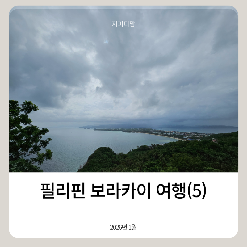 2026년 1월 필리핀 보라카이 여행 후기(5)｜랜드투어: 블라복 비치, 루호산, 디니위드 비치, 키....