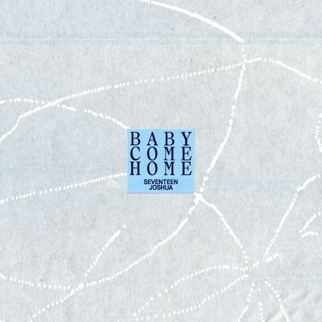 SEVENTEEN Joshua Releases 'Baby Come Home', Chinese Version Features Special Duet with WeiBird