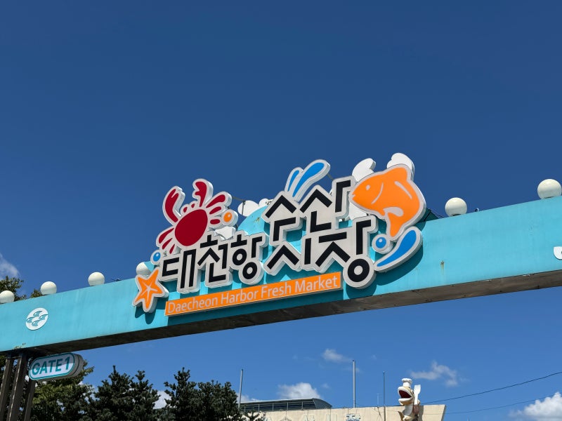 보령 대천항 수산시장 대하 회 포장해서 펜션에서 먹었어요 (수연호수산 추천)