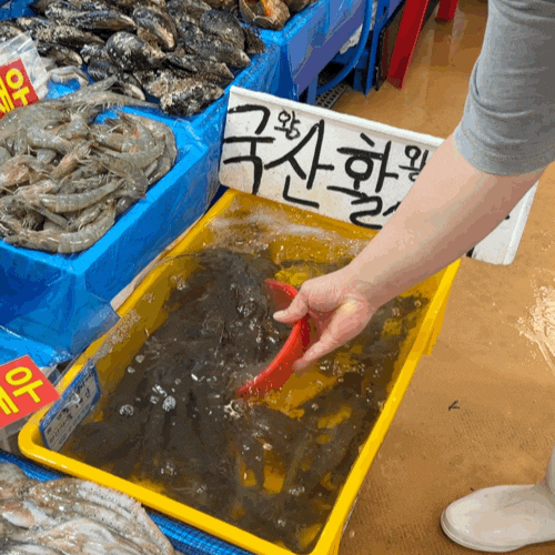 노량진수산시장 활새우 활꽃게 시세 월드수산 추천