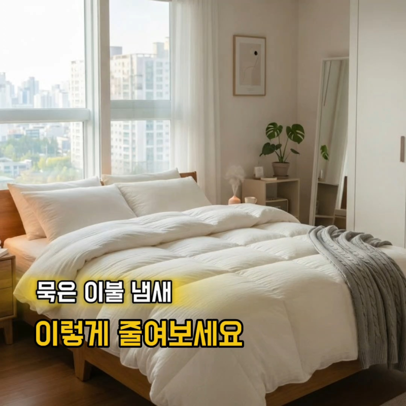 겨울이불 사용 전 관리 세탁해야 할까 햇볕에 말리면 될까