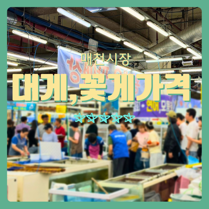명절 수산물 어디서 살까? 대구 매천수산시장 대게•꽃게•새우 시세 가격