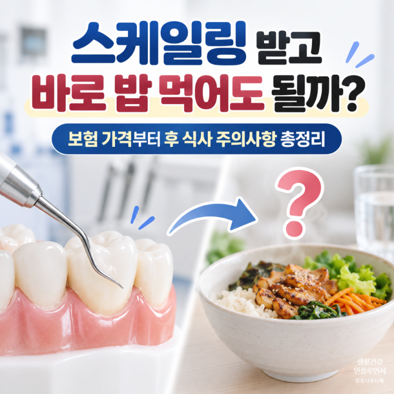 치과 스케일링 비용 얼마 건강보험 가격부터 주기 시간 스케일링 후 식사