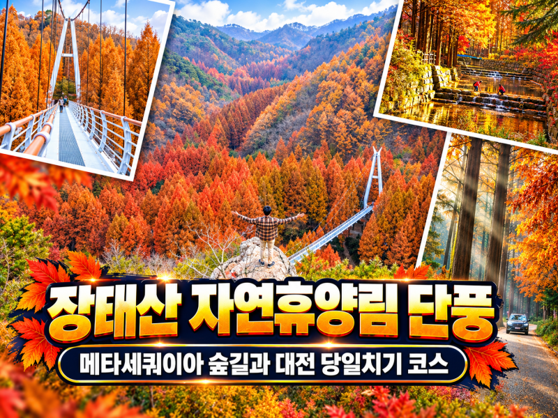 장태산 자연휴양림 단풍 후기｜메타세쿼이아 숲길과 대전 당일치기 코스