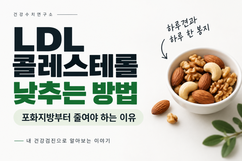 LDL 콜레스테롤 낮추는 방법｜포화지방부터 줄여야 하는 이유