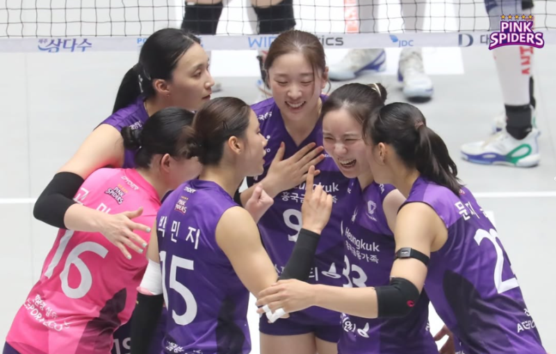 2026-27 흥국생명 배구단 선수 연봉 순위