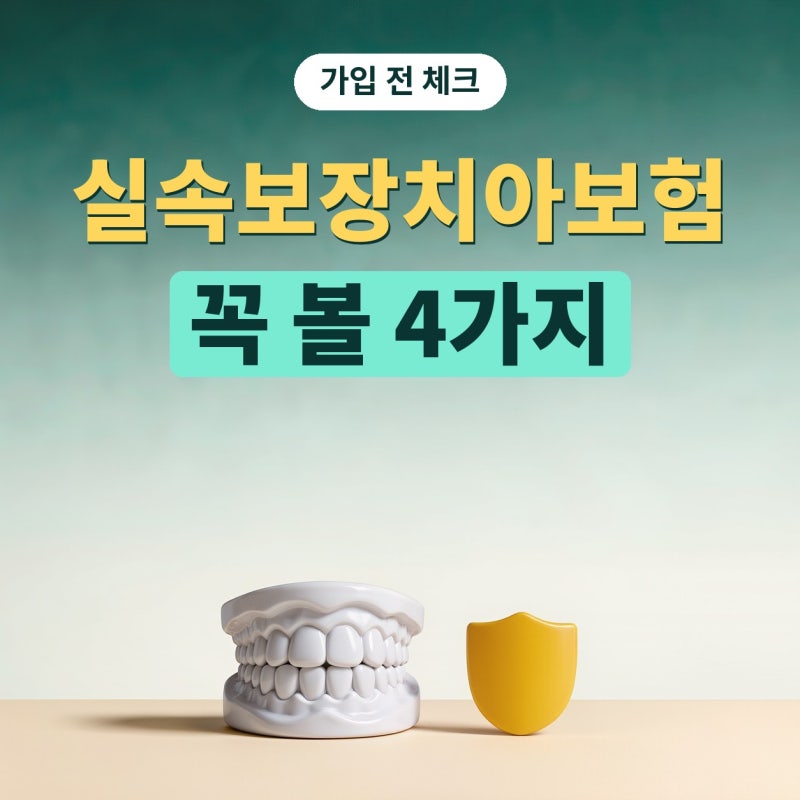 실속보장치아보험 치아보험료 정하는 기준, 가입 전 꼭 볼 4가지 (플랜비보험)
