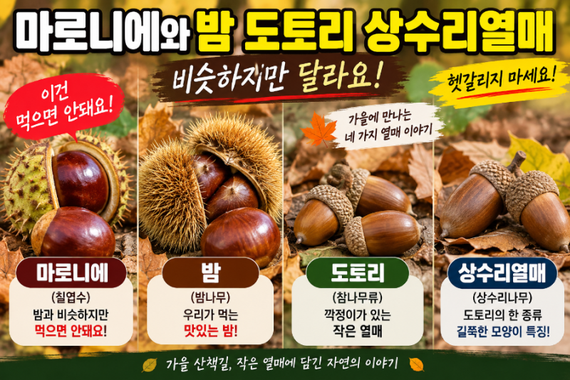 가을에 만나는 세 가지 열매