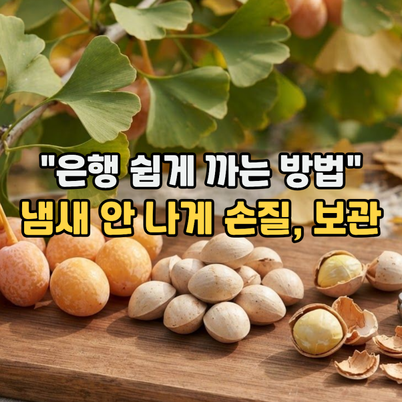 은행 손질법과 보관법 "냄새 안 나게 씻고 껍데기 까는 방법까지" (전자레인지, 후라이팬 그....