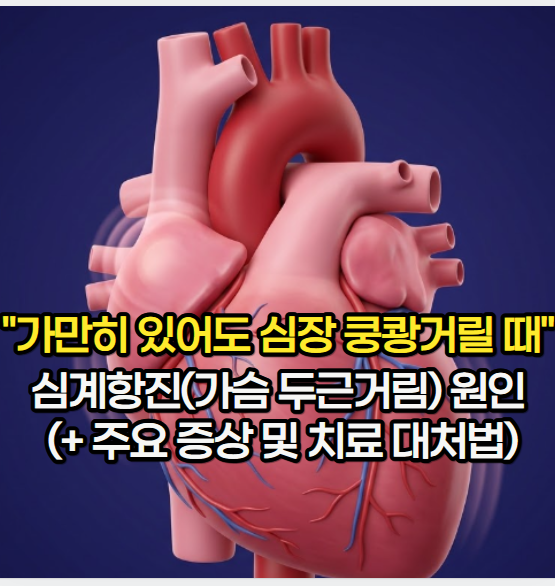 심계항진, "가만히 있어도 심장 쿵쾅거릴 때 짚어봐야 할" 가슴 두근거림 원인 및 증상 (+ 치....