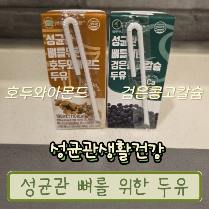 성균관 뼈를 위한 두유 호두와아몬드 vs 검은콩고칼슘 비교 후기