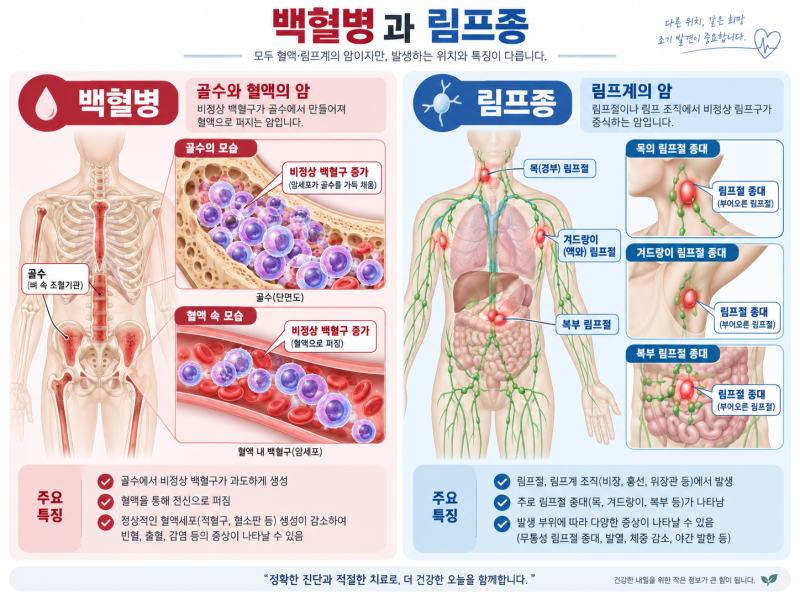 백혈병·림프종, 어떤 검사로 암 진단확정될까?_오늘의손사 서호석손해사정사