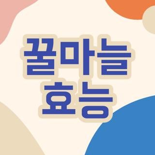 꿀마늘 효능 공복 섭취 시 주의사항 및 실패 없는 제조법 당뇨 환자 복용 가이드 총정리