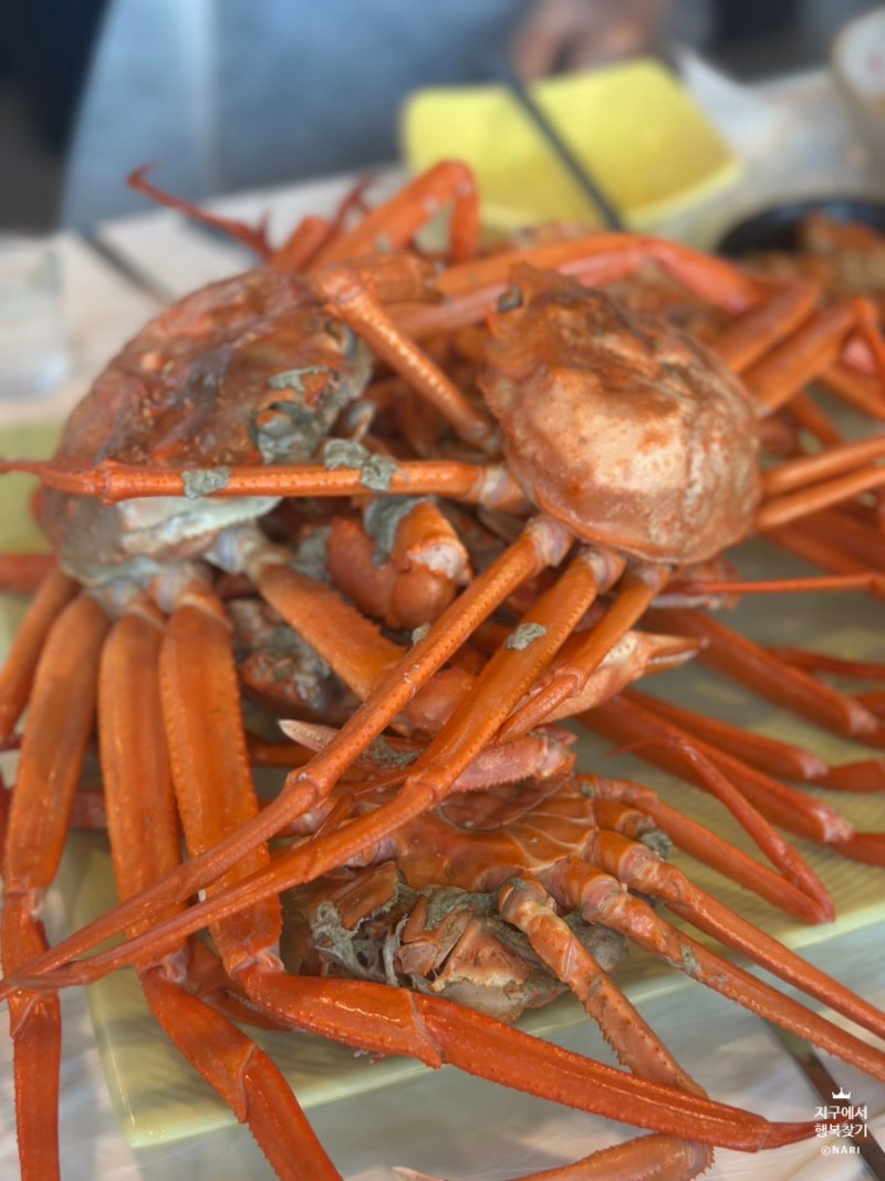 속초 맛집 l 퀄리티에 친절까지 챙긴 속초 홍게 무한 리필 [광성홍게장군]
