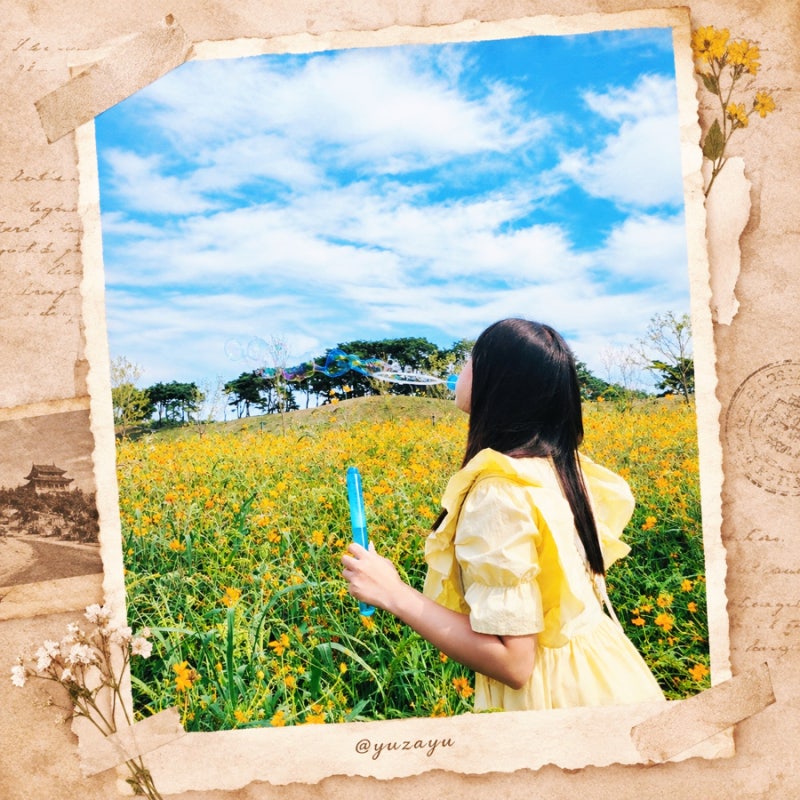 Gyeongju Walking Tour: Hwanglidan-gil Photo Zones, Fun, Food, and Parking Recommendations