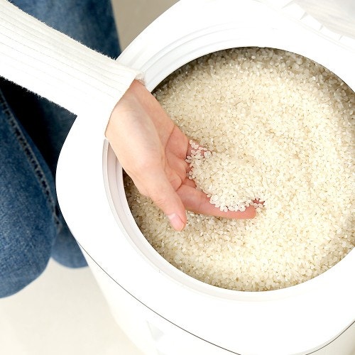 비싼 쌀 사놓고 아직도 봉투째 보관한다면? 미락 진공쌀통 20kg 후기
